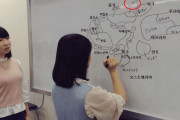 【画像あり】韓国人「朝鮮の隣に南極www」日本の女子高生が描いた世界地図がマジでヤバ過ぎる‥　韓国の反応
