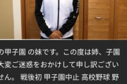 甲子園の妹を名乗る男、謝罪動画を公開