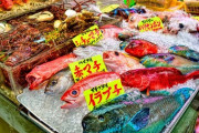 太平洋側:海が綺麗だけど魚がまずい、日本海側:海がドス黒いけど魚がうまい