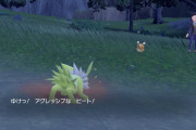 【ポケモンSV】色違い証付きイーブイメスを狙ってる勢