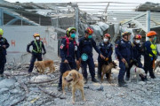 ミャンマー地震で被害を受けたタイで人間を救うため、必死に働く11匹の救助犬部隊