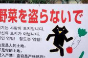 大阪で韓国人への激しいヘイト看板が発見されるこれもう逮捕確実だろ #これがジャップの民度