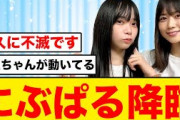 【日向坂46】にぶぱる降臨、おひさま大歓喜する