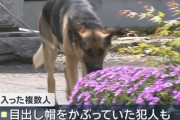 【速報】Z世代、またも強盗殺人！！　もうどうすんだよこの世代・・・