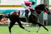 【東スポ杯2歳S】フェイトとは何だったのか