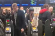 【ネコ】 多くの人が行き交う地下鉄の改札口。ここはトルコですか？ → いいえ、イギリスです…