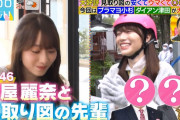 【櫻坂46】守屋麗奈、めっちゃロケ出してもらってるな！！！！！