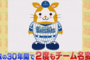 好きな球団はベイスターズです←どんなイメージ？