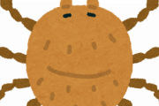 ダニの対策ってどうすんねん…