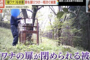 【画像】クマ擁護派、マジでやばいことをしてしまう