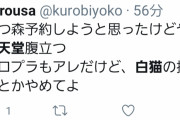 コロプラ｢みんなに面白いゲームを届けたい｣マリカー｢みんなに素敵な体験をしてほしい｣