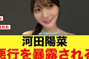 河田陽菜、地上波で悪行を暴露される【日向坂46】