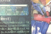 デスティニーガンダムの整備士「仲間のインパルスを手に掛けようとした…？」