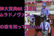 【競馬の闇】ナムラドノヴァンをなんとか出来ないか