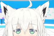 Vtuber ホロメンとリスナーを同列に語ってはいけない！フブキのあの件を思い出せ！！←これマジで謎なんだよなぁ