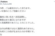 【悲報】絵師さん、投稿したイラストがきっかけで「色覚異常」が発覚。その絵がこちら…