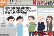 【画像】ヨドバシ店員「ガンダムで最強のパイロットを言ってください」 中国人「」