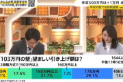 石破自民党「年収２００万円を高所得富裕層として認定します！こいつらには罰として所得制限します！！！」←擁護しようがない状況にtwitterで自民党支持者が絶滅