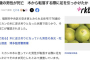 【福岡】「男性が木に引っかかっている」みかんの木に逆さ吊りの男性の遺体見つかる