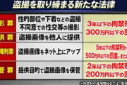 【速報】パンチラ画像を誰かにあげたら3年以下の懲役。ネットに上げたら懲役5年。持ってたら2年