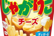 とりあえずこれ食っとけ！一番おいしいポテトスナック40選