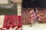 アメリカの豆を原材料にした人工肉、クッソ美味そう