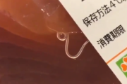 【動画】Twitter「スーパーで売ってる魚に寄生虫おった！」
