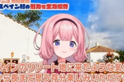 【朗報】人がいないことで定評のある志摩スペイン村、VTuberコラボで大混雑ｗｗｗｗｗｗｗｗｗ
