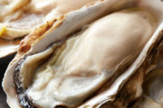 【急募】牡蠣を最も美味く食える料理