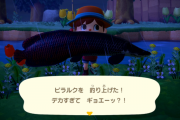 あつまれどうぶつの森 6月のサカナ、ムシ捕獲しました アロワナ、ドラド、ガー、ピラクル、ジンベエザメ、ゴライアスオオツノハナムグリなど