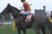 【競馬】お前らがモーリスのオーナーなら秋はどんなローテ組む？