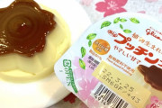 プッチンプリンをプッチンせずに食べる奴なんなの？