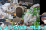 【閲覧注意】とんでもない汚部屋に住むVtuberが発見される