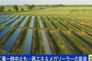 メガソーラー、全国に約7000件 専門家に聞く問題点「2040年ごろに放置パネルが大量に増える」国内は飽和状態 目的も脱原発から脱炭素に変容？