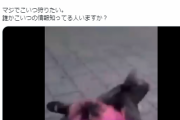 若者がホームレスをボコる動画が大炎上。もう終わりだよこのガキ