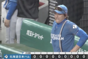 日本ハム、2試合連続の零封負けで3連敗する