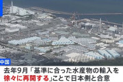 楽韓さん、本日の動向 - 中国も福島第一原発周辺の海水に異常なし、と認めた……さて、韓国左派はどうする？