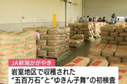 【速報】日本政府、新米の1等米を確保！「将来のコメ不足に備えるため」1等米比率100%の備蓄爆誕
