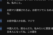 【動画】自称愛国保守のフィフィさん、暇空茜さんを中国人認定。暴言&差別発言連発ｗｗｗｗｗｗ