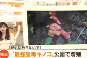 【厳重注意！】神奈川の公園で最強毒キノコ・カエンタケが見つかる！触るだけで皮膚が爛れ、食べると死ぬ危険性も