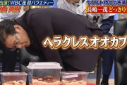 栗山監督、どうしても会いたい人「ヘラクレスオオカブト」に興奮ｗｗｗｗｗｗ