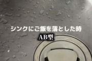 【動画】血液型別のシンクにチャーハン落としたときの違いｗｗｗｗ