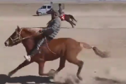 【動画】中国の競馬界で独自の走り方を習得した馬がぶっちぎりで大爆走