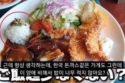 韓国人「日本人が韓国のトンカツセットを侮辱！」→日本人「韓国のトンカツセットはお子様ランチの様だ」　韓国の反応