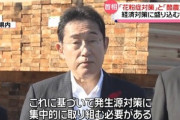 岸田首相が掲げていた｢花粉症対策｣､ついにくるぞ 来週にも初期集中対応パッケージを取りまとめる模様