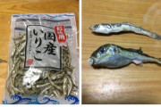 【画像】彡(^)(^)「お徳用いりこの中にフグ入ってて草」
