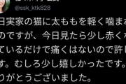 【画像あり】ネコ『佐々木琴子の太ももを噛んだ結果www』