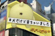 【朗報】ポムポムプリンさん、新宿を支配下に置く