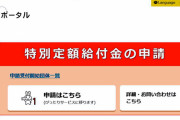 10万円特別定額給付金　何度でも申請出来ちゃう？本末転倒のオンライン