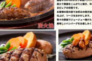 島根県で大人気の中身トロトロレアハンバーグを食べてみた